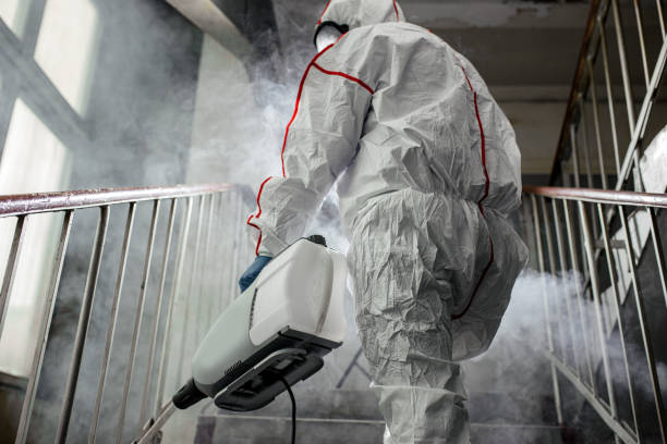 Best Mold Remediation for Healthcare Facilities  in Parkway, CA